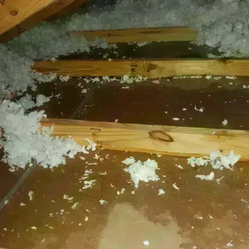 Attic Water Damage in River Road, NC